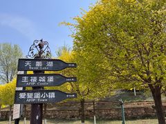 -北京张裕爱斐堡酒庄