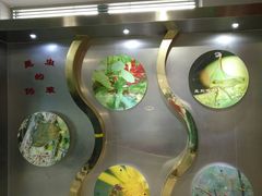 -上海昆虫博物馆