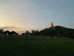 -红花山公园