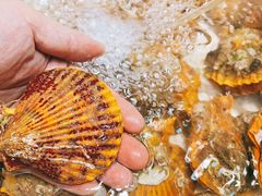 -美味海鲜大排档(明发美食地标店)