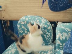 android_upload_pic-Sirena海妖日咖夜酒