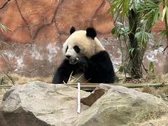 -乐和乐都主题乐园