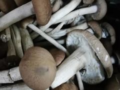 -北京清河镇农副产品交易市场中心