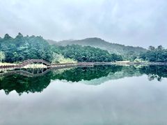 -海南热带雨林国家公园吊罗山景区