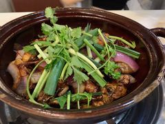 -胡须佬鸡煲四季火锅(龙珠大道店)
