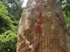 -银瓶嘴森林公园