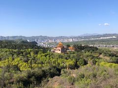 -磬锤峰森林公园