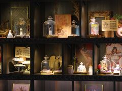 -雪灵魔法世界SHELLY’S TAROT(大良桂畔里店)