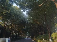 -羊山湖公园