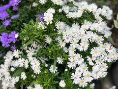 -聚·咖啡(南国奥园店)