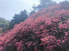 -木兰云雾山