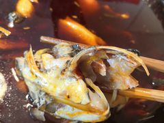 -仔耳朵冷锅鱼蛙芋儿鸡(莲花东路店)