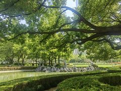 -陆家嘴中心绿地
