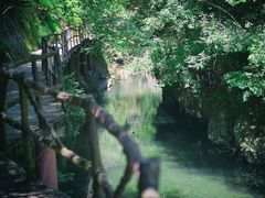 -石台牯牛降景区