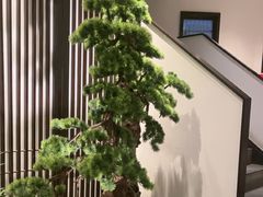 -溪畔•新徽菜(碧湖云溪店)
