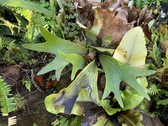 -国家植物园南园