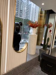 点击看大图 -IP SALON
