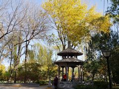 -玲珑塔公园