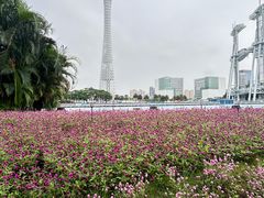 -海心沙亚运公园