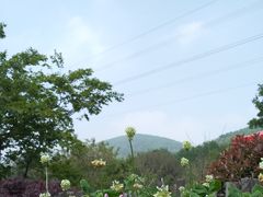 -汤山温泉房车营地 茶温泉