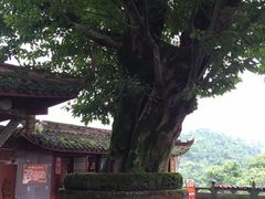 -中国观音故里广德景区