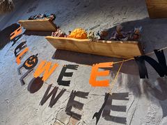 -地二手作鱼汤馄饨(上街里店)