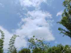 -赤水丹霞旅游区·大瀑布