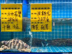 -坛南湾农家乐·海鲜楼·大排档(平潭坛南湾店)