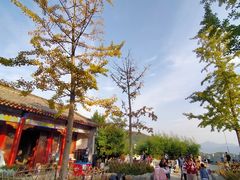 -竹子庵公园