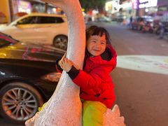 -巢湖名吃·东关老鹅汤(江南风情街店)