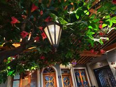 -老广酒楼(樱花店)