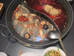 -俏媳妇火锅(宽窄巷子店)