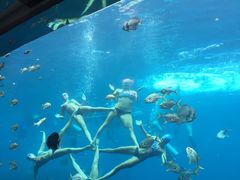 -瑞德姆美人鱼海底演艺主题餐厅(亚龙湾店)
