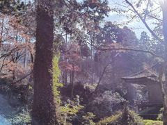 -三千院
