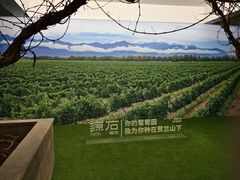 -源石酒庄