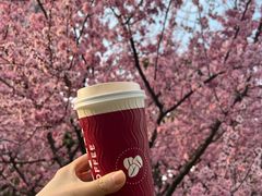 -COSTA COFFEE(上海虹口公园店)