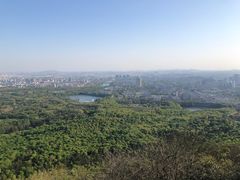 -紫金山天文台