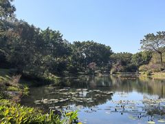 -云溪植物园
