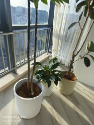 -HEYAN荷妍专业脱毛连锁机构