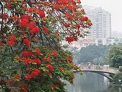-东山湖公园