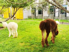 -东方时尚驾校摩托车考试场