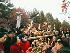 -大召寺明清一条街