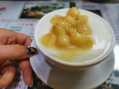 -义顺牛奶公司(新马路老店)