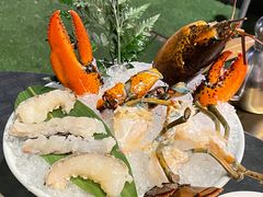 -禄婶鸡煲·打边炉