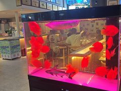 -叒缘夜光杯(望江橡树林店)