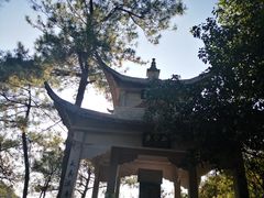 -遂昌金矿国家矿山公园