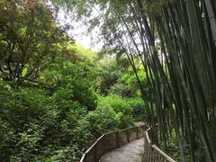 -汇龙潭