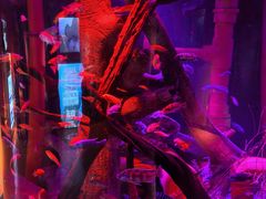 -沈阳海洋探索中心