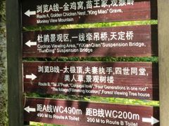 -大围山国家森林公园