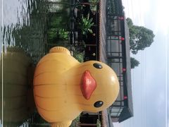 -大门水乡·顺德菜